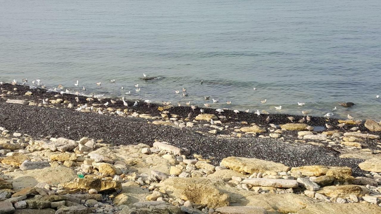 La Naturelle 119 Wimereux Εξωτερικό φωτογραφία
